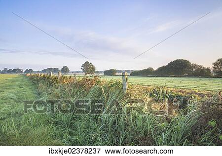 Stock Photo - "Schneeren landscape, Steinhuder Meer Nature Park, Neustadt am Ruebenberge, Lower Saxony, Germany, Europe". Fotosearch