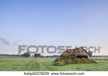"Schneeren landscape, Steinhuder Meer Nature Park, Neustadt am Ruebenberge, Lower Saxony, Germany, Europe" View Large Photo Image Stock Photo - "Schneeren landscape, Steinhuder Meer Nature Park, Neustadt am Ruebenberge, Lower Saxony, Germany, Europe". Fotosearch