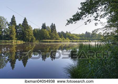 "Schonauer Weiher lake, Bad Heilbrunn, Upper Bavaria, Bavaria, Germany, Europe" View Large Photo Image Stock Photo - "Schonauer Weiher lake, Bad Heilbrunn, Upper Bavaria, Bavaria, Germany, Europe". Fotosearch