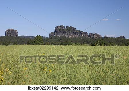 "Schrammsteine, jagged group of rocks, ridge, and Falkenstein rock, Elbe Sandstone Mountains, Saxony, Germany, Europe" View Large Photo Image Stock Image - "Schrammsteine, jagged group of rocks, ridge, and Falkenstein rock, Elbe Sandstone Mountains, Saxony, Germany, Europe". Fotosearch