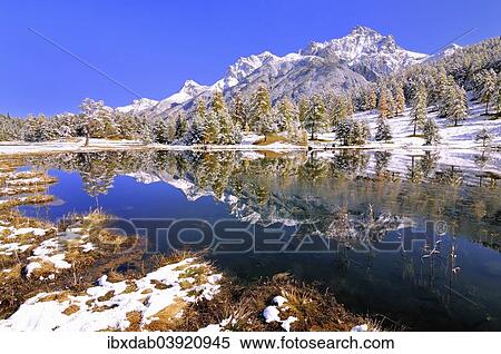 "Schwarzsee or Lai Nair with snow-covered larch forest, Tarasp, Engadin, Graubunden, Switzerland, Europe" View Large Photo Image Stock Photography - "Schwarzsee or Lai Nair with snow-covered larch forest, Tarasp, Engadin, Graubunden, Switzerland, Europe". Fotosearch