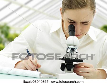 Scientist looking through a microscope in a greenhouse View Large Photo Image Stock Photography - Scientist looking through a microscope in a greenhouse. Fotosearch