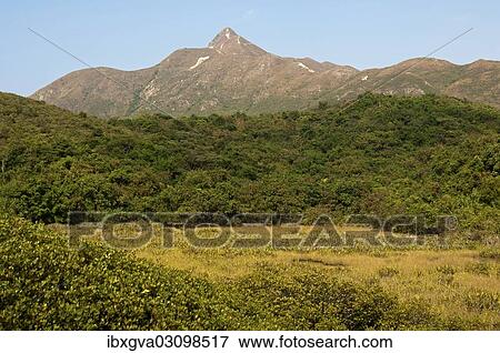 "Scrubland with Sharp Peak mountain range, Sai Kung Country Park, Hong Kong, Hong Kong, China, People's Republic of China, Asia" View Large Photo Image Stock Photo - "Scrubland with Sharp Peak mountain range, Sai Kung Country Park, Hong Kong, Hong Kong, China, People's Republic of China, Asia". Fotosearch