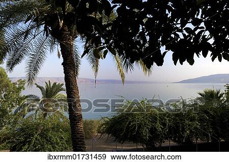"Sea of Galilee, also Kinneret, Lake of Gennesaret, or Lake Tiberias, Israel, Middle East, Asia" View Large Photo Image Stock Photo - "Sea of Galilee, also Kinneret, Lake of Gennesaret, or Lake Tiberias, Israel, Middle East, Asia". Fotosearch