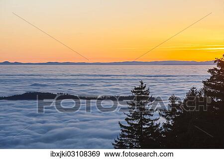 "Sea of ​​clouds, forest, Seebach, Nordschwarzwald, Schwarzwald, Baden-Wurttemberg, Germany, Europe" View Large Photo Image Stock Photo - "Sea of ​​clouds, forest, Seebach, Nordschwarzwald, Schwarzwald, Baden-Wurttemberg, Germany, Europe". Fotosearch