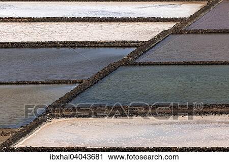 "Sea salt production, dry basins, salt pans, Salinas de Janubio, Lanzarote, Canary Islands, Spain, Europe" View Large Photo Image Stock Image - "Sea salt production, dry basins, salt pans, Salinas de Janubio, Lanzarote, Canary Islands, Spain, Europe". Fotosearch