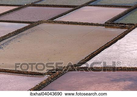 "Sea salt production, dry basins, salt pans, Salinas de Janubio, Lanzarote, Canary Islands, Spain, Europe" View Large Photo Image Stock Image - "Sea salt production, dry basins, salt pans, Salinas de Janubio, Lanzarote, Canary Islands, Spain, Europe". Fotosearch