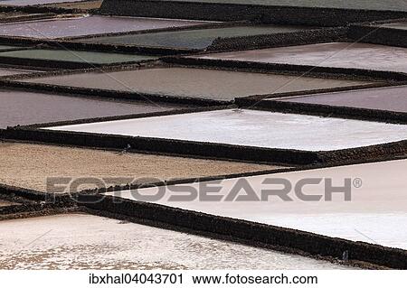 "Sea salt production, dry basins, salt pans, Salinas de Janubio, Lanzarote, Canary Islands, Spain, Europe" View Large Photo Image Stock Image - "Sea salt production, dry basins, salt pans, Salinas de Janubio, Lanzarote, Canary Islands, Spain, Europe". Fotosearch