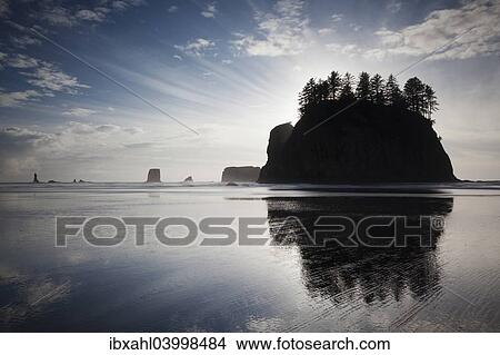 "Sea stack on Second Beach in Olympic National Park, Washington, United States, North America" View Large Photo Image Picture - "Sea stack on Second Beach in Olympic National Park, Washington, United States, North America". Fotosearch