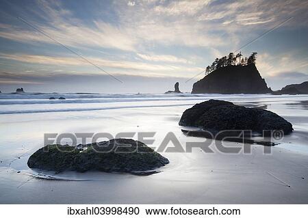 "Sea stack on Second Beach in Olympic National Park, Washington, United States, North America" View Large Photo Image Stock Image - "Sea stack on Second Beach in Olympic National Park, Washington, United States, North America". Fotosearch