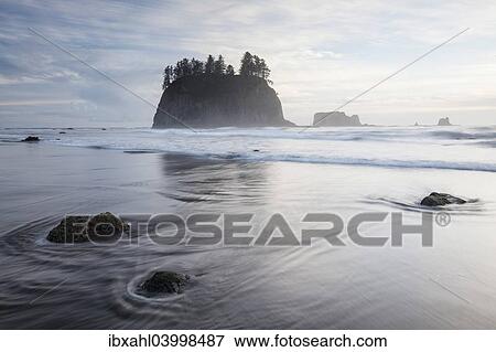 Stock Photo - "Sea stack on Second Beach in Olympic National Park, Washington, United States, North America". Fotosearch