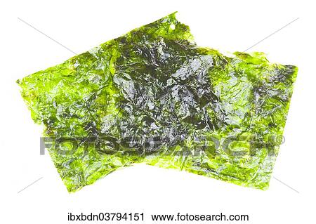 Stock Image - Seaweed in sheets. Fotosearch