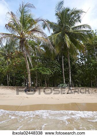 "Secluded beach, Punta Uva, Puerto Viejo de Talamanca, Costa Rica, Central America, North America" View Large Photo Image Stock Photo - "Secluded beach, Punta Uva, Puerto Viejo de Talamanca, Costa Rica, Central America, North America". Fotosearch