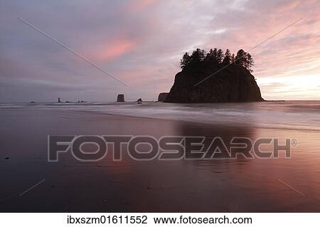 "Second Beach at La Push, Olympic Coast, Washington, USA" View Large Photo Image Stock Image - "Second Beach at La Push, Olympic Coast, Washington, USA". Fotosearch