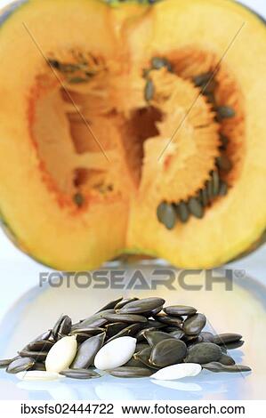 Seeds and pulp from the Styrian Oil Pumpkin View Large Photo Image Stock Image - Seeds and pulp from the Styrian Oil Pumpkin. Fotosearch