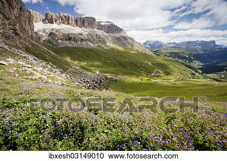 "Sella Group seen from Pordoi Pass, Dolomites, Waldhauser, Dolomiten, Italy, Europe" View Large Photo Image Stock Image - "Sella Group seen from Pordoi Pass, Dolomites, Waldhauser, Dolomiten, Italy, Europe". Fotosearch