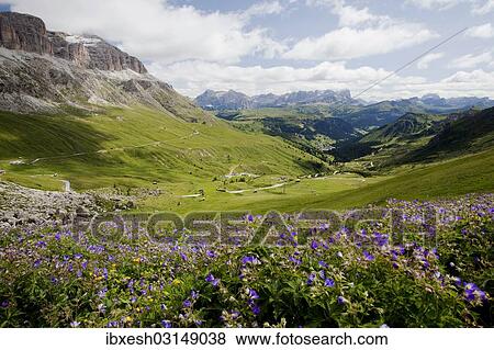"Sella Group seen from Pordoi Pass, Dolomites, Pordoijoch, South Tyrol province, Trentino-Alto Adige, Italy, Europe" View Large Photo Image Stock Photo - "Sella Group seen from Pordoi Pass, Dolomites, Pordoijoch, South Tyrol province, Trentino-Alto Adige, Italy, Europe". Fotosearch