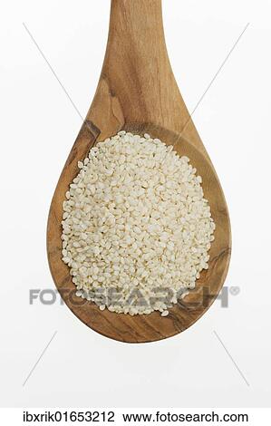 Sesame (Sesamum indicum) seeds on an olive wood spoon View Large Photo Image Stock Image - Sesame (Sesamum indicum) seeds on an olive wood spoon. Fotosearch