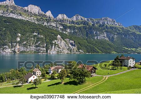 "Settlement on Lake Walen in front of the Churfirsten range near Mols, Canton of St. Gallen, Switzerland, Europe" View Large Photo Image Stock Photo - "Settlement on Lake Walen in front of the Churfirsten range near Mols, Canton of St. Gallen, Switzerland, Europe". Fotosearch