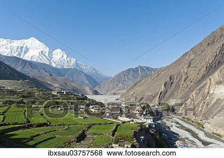 "Settlement on the Kali Gandaki River, snow-capped Mt Nilgiri North, 7061 m, at back, Kagbeni, Lower Mustang, Lo, Nepal, Asia" View Large Photo Image Stock Photo - "Settlement on the Kali Gandaki River, snow-capped Mt Nilgiri North, 7061 m, at back, Kagbeni, Lower Mustang, Lo, Nepal, Asia". Fotosearch