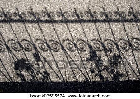 "Shadow of a fence and roses on a pavement, Bavaria, Germany, Europe" View Large Photo Image Picture - "Shadow of a fence and roses on a pavement, Bavaria, Germany, Europe". Fotosearch