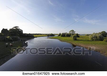 Stock Photography - "Shannon River near Shannonbridge, County Offaly, Leinster, Republic of Ireland, Europe". Fotosearch