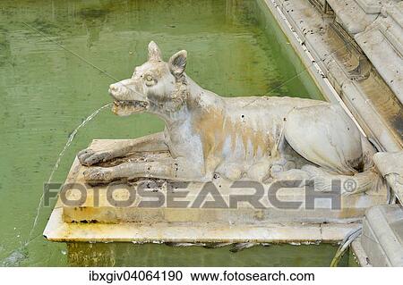 "She-wolf spouting water in the Fonte Gaia fountain, Piazza del Campo, Siena, Province of Siena, Tuscany, Italy, Europe" View Large Photo Image Stock Image - "She-wolf spouting water in the Fonte Gaia fountain, Piazza del Campo, Siena, Province of Siena, Tuscany, Italy, Europe". Fotosearch