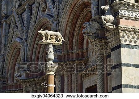 "She-wolf with Romulus and Remus in front of the Duomo of Siena, Cattedrale di Santa Maria Assunta, Siena, Province of Siena, Tuscany, Italy, Europe" View Large Photo Image Stock Image - "She-wolf with Romulus and Remus in front of the Duomo of Siena, Cattedrale di Santa Maria Assunta, Siena, Province of Siena, Tuscany, Italy, Europe". Fotosearch