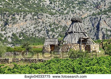 "Shepherd's cottage in a vineyard, Gennargentu National Park, Supramonte, Province of Nuoro, Sardinia, Italy, Europe" View Large Photo Image Stock Photography - "Shepherd's cottage in a vineyard, Gennargentu National Park, Supramonte, Province of Nuoro, Sardinia, Italy, Europe". Fotosearch