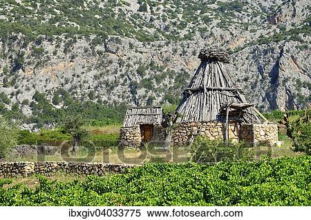 Shepherd S Petite Maison Dans A Vignoble Gennargentu Parc National Supramonte Province De Nuoro Sardaigne Italie Europe Banques De Photographies Ibxgiv Fotosearch