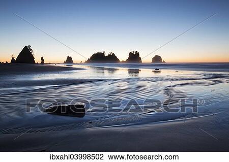 Stock Image - "Shi Shi Beach in Olympic National Park, Forks, Washington, United States, North America". Fotosearch