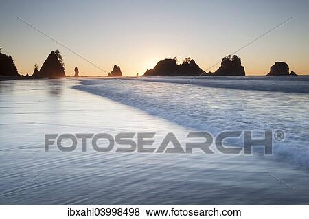 Stock Photo - "Shi Shi Beach in Olympic National Park, Forks, Washington, United States, North America". Fotosearch