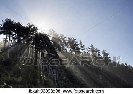 "Shi Shi Beach in Olympic National Park, Forks, Washington, United States, North America" View Large Photo Image Stock Photo - "Shi Shi Beach in Olympic National Park, Forks, Washington, United States, North America". Fotosearch