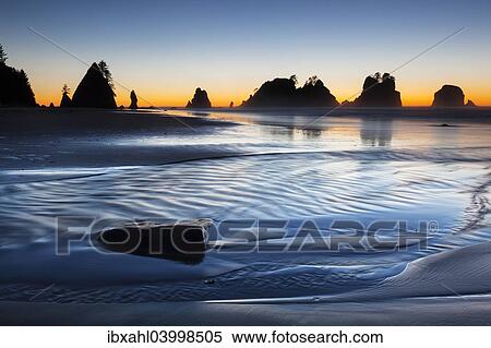 Stock Photography - "Shi Shi Beach in Olympic National Park, Forks, Washington, United States, North America". Fotosearch