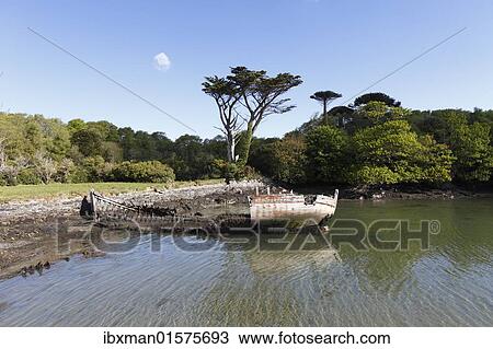 Stock Image - "Shipwreck, Bere Haven Harbour, Dunboy near Castletownbere, Beara Peninsula, County Cork, Ireland, British Isles, Europe". Fotosearch