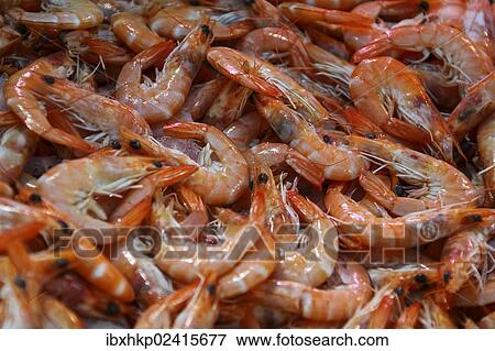 "Shrimps on sale at a weekly market, Cannes, French Riviera, France, Europe" View Large Photo Image Stock Photo - "Shrimps on sale at a weekly market, Cannes, French Riviera, France, Europe". Fotosearch