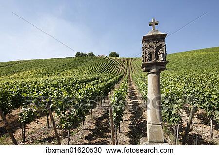 "Shrine below Vogelsburg near Volkach, Mainfranken, Lower Franconia, Franconia, Bavaria, Germany, Europe" View Large Photo Image Stock Image - "Shrine below Vogelsburg near Volkach, Mainfranken, Lower Franconia, Franconia, Bavaria, Germany, Europe". Fotosearch