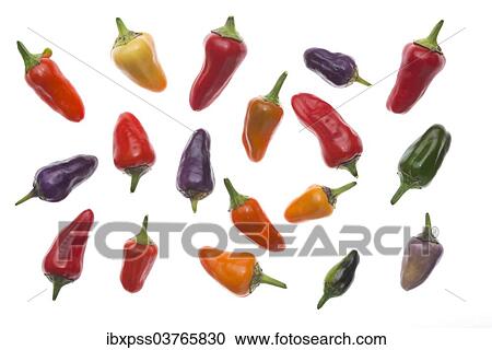 "Siberian House peppers, different stages of ripeness" View Large Photo Image Stock Image - "Siberian House peppers, different stages of ripeness". Fotosearch