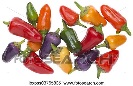 "Siberian House peppers, different stages of ripeness" View Large Photo Image Stock Photography - "Siberian House peppers, different stages of ripeness". Fotosearch