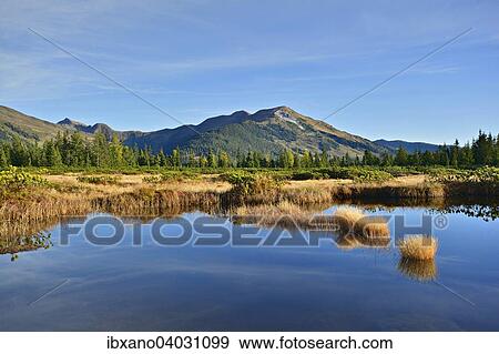 "Sieben Moser, sour oligotrophic Bog, bog pond or Blanke, behind the Kitzbuhel Alps, Gerlos Pass, Salzburg, Austria, Europe" View Large Photo Image Stock Photo - "Sieben Moser, sour oligotrophic Bog, bog pond or Blanke, behind the Kitzbuhel Alps, Gerlos Pass, Salzburg, Austria, Europe". Fotosearch