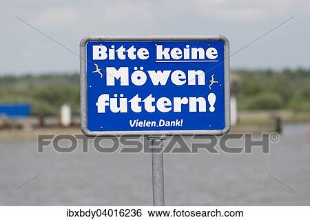 "Sign """"Bitte keine Mowen futtern"""" or """"Please do not feed the seagulls, """" Eidersperrwerk, Schleswig-Holstein, Germany, Europe" View Large Photo Image Stock Photograph - "Sign """"Bitte keine Mowen futtern"""" or """"Please do not feed the seagulls, """" Eidersperrwerk, Schleswig-Holstein, Germany, Europe". Fotosearch