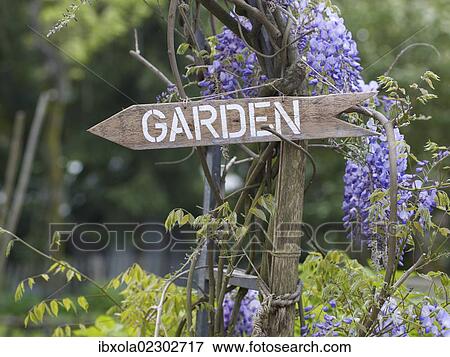"Sign """"Garden"""" in a romantic garden" View Large Photo Image Stock Photo - "Sign """"Garden"""" in a romantic garden". Fotosearch
