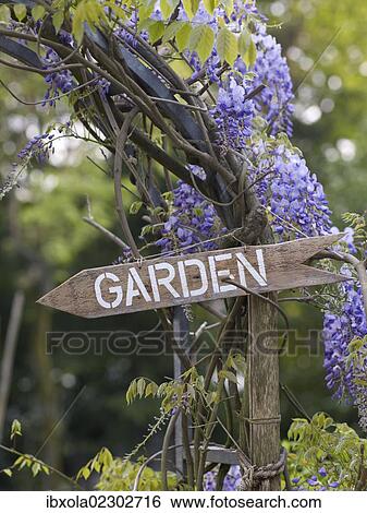 "Sign """"Garden"""" in a romantic garden" View Large Photo Image Stock Photograph - "Sign """"Garden"""" in a romantic garden". Fotosearch