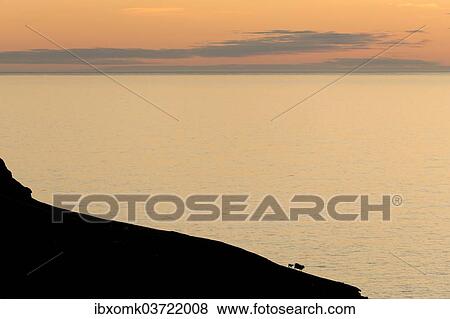 "Silhouette of a mountain ridge with sheep in front of the sea, Kalsoy, Norooyar, Faroe Islands, Denmark, Europe" View Large Photo Image Stock Photo - "Silhouette of a mountain ridge with sheep in front of the sea, Kalsoy, Norooyar, Faroe Islands, Denmark, Europe". Fotosearch