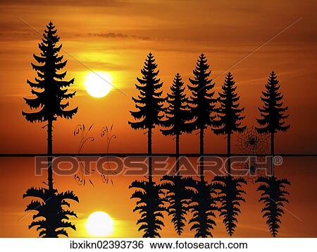 Stock Photograph - "Silhouettes, fir trees, reflection, illustration". Fotosearch