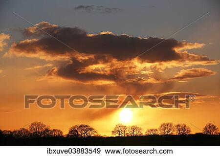 "Silhouettes of trees against a cloudy sky at sunset, Oberalsterniederung Nature Reserve, Tangstedt, Schleswig-Holstein, Germany, Europe" View Large Photo Image Stock Photo - "Silhouettes of trees against a cloudy sky at sunset, Oberalsterniederung Nature Reserve, Tangstedt, Schleswig-Holstein, Germany, Europe". Fotosearch