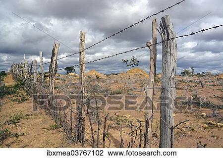 "Simple barbed wire fence at a barren pasture, Lencois, Bahia, Brazil, South America" View Large Photo Image Stock Image - "Simple barbed wire fence at a barren pasture, Lencois, Bahia, Brazil, South America". Fotosearch