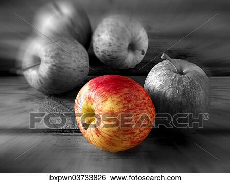 Single red apple amongst other apples View Large Photo Image Stock Photograph - Single red apple amongst other apples. Fotosearch