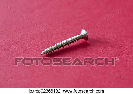 Single wood screw View Large Photo Image Stock Image - Single wood screw. Fotosearch