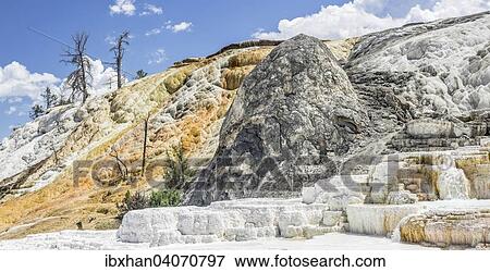 "Sinter terraces of the Lower Terrace, Mammoth Hot Springs, Yellowstone National Park, Wyoming, United States, North America" View Large Photo Image Stock Photo - "Sinter terraces of the Lower Terrace, Mammoth Hot Springs, Yellowstone National Park, Wyoming, United States, North America". Fotosearch